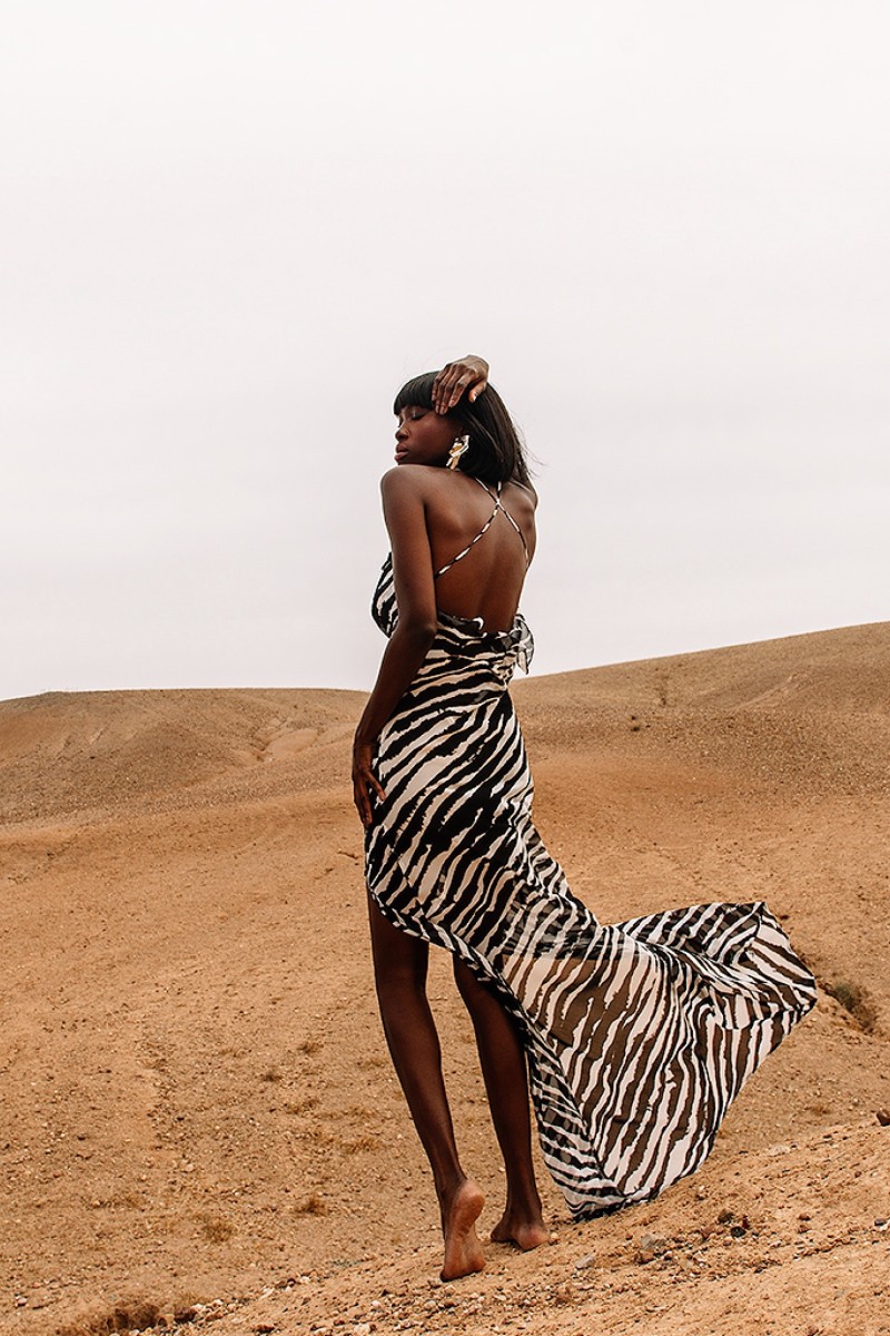 ZEBRA SILK DRESS ZEBRA SILK DRESS