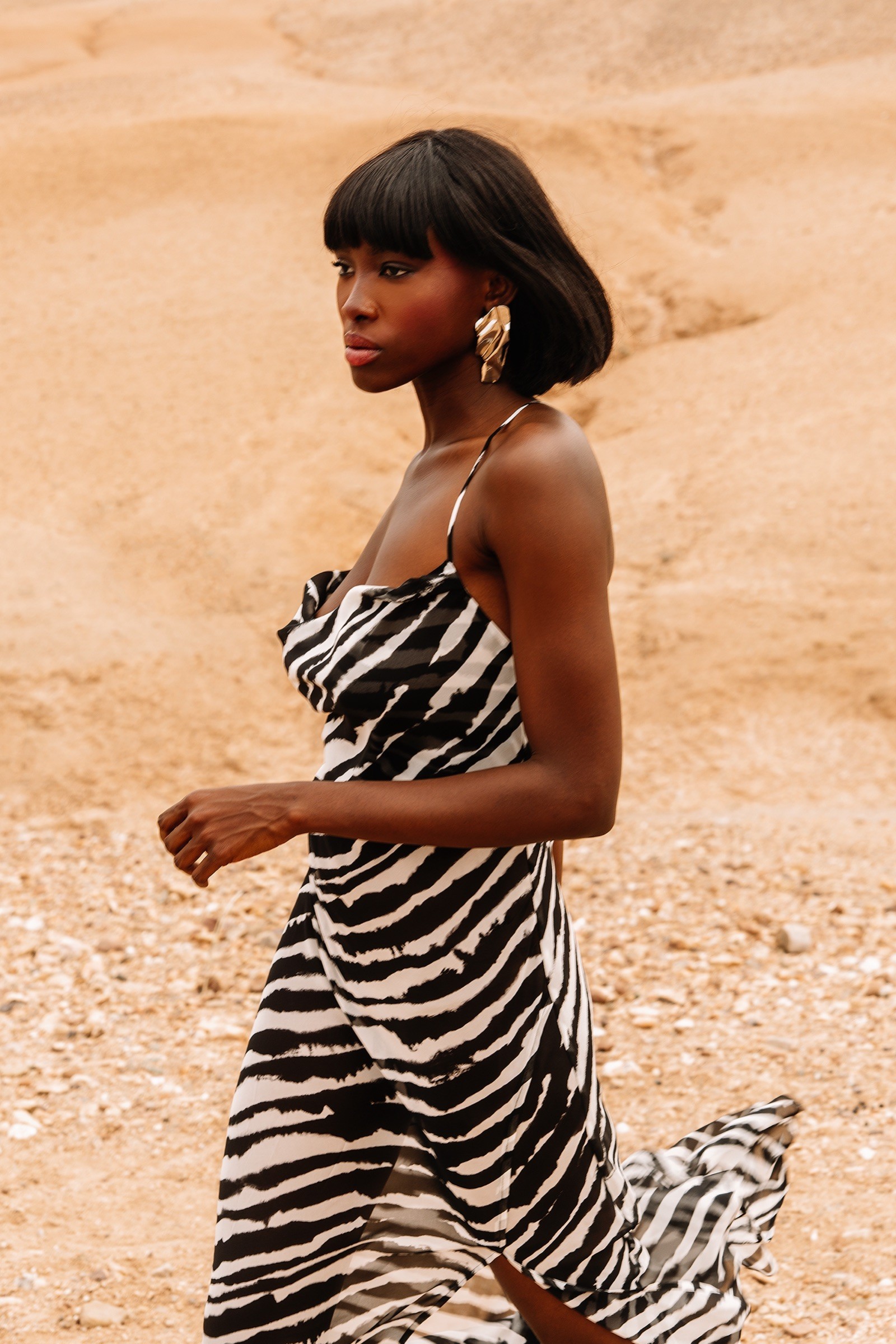 ZEBRA SILK DRESS