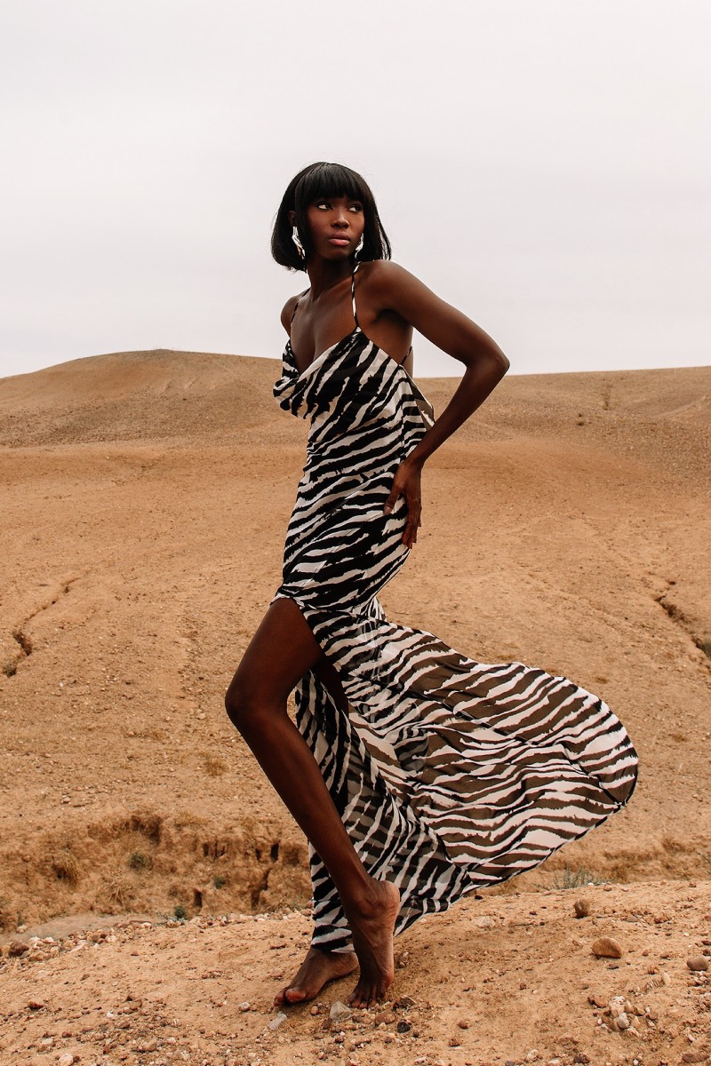 ZEBRA SILK DRESS